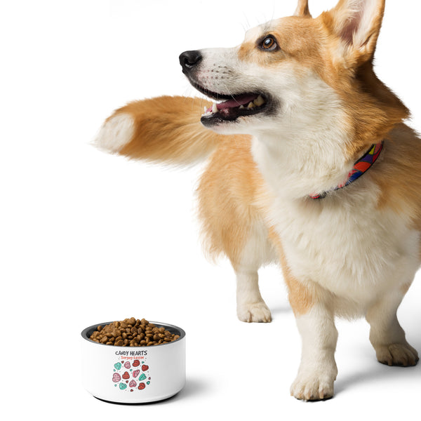 Candy Hearts Pet bowl