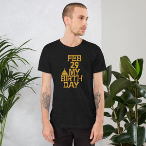 Feb 29 My Birthday Unisex t-shirt