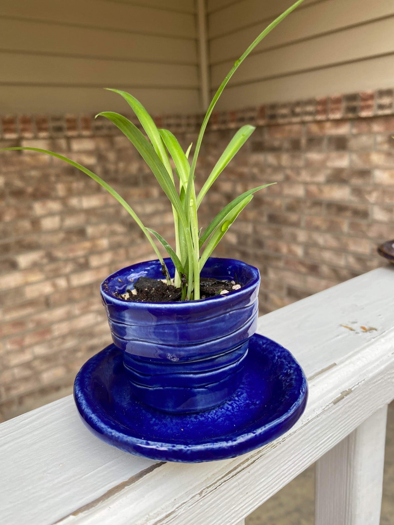 Hand Made mini planter