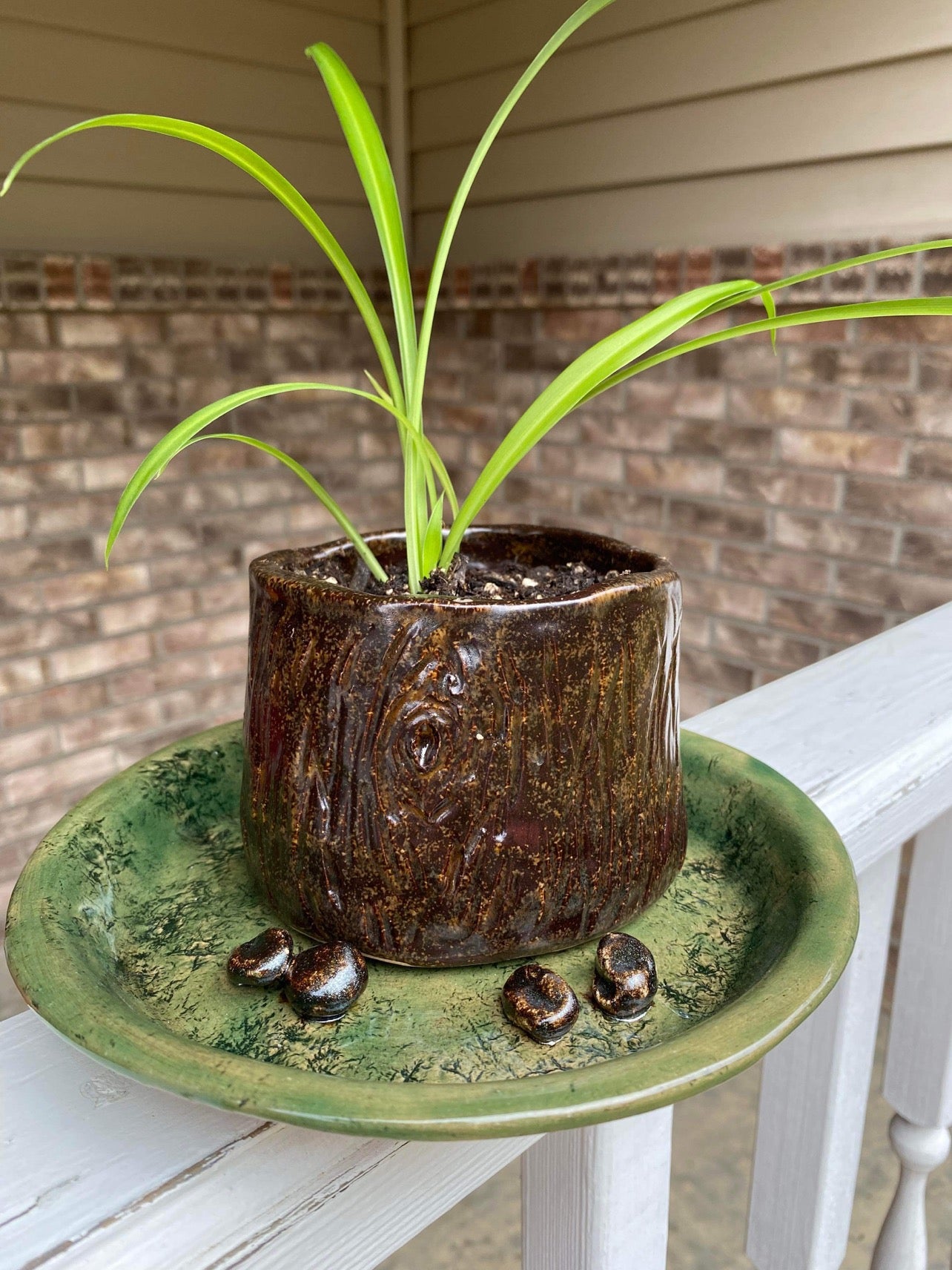 Hand made Tree stump pot